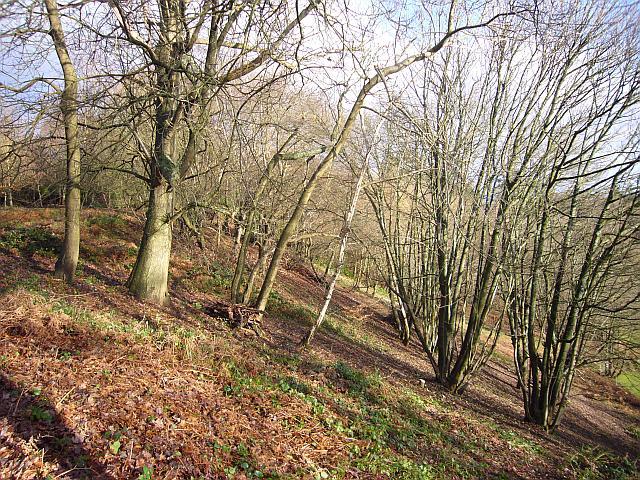 Deepdene Terrace Slope 7/12/12